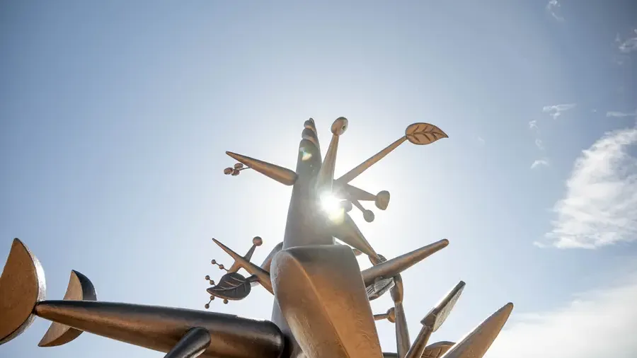 Guesthouse_Crédit_Med_Azzabi_36