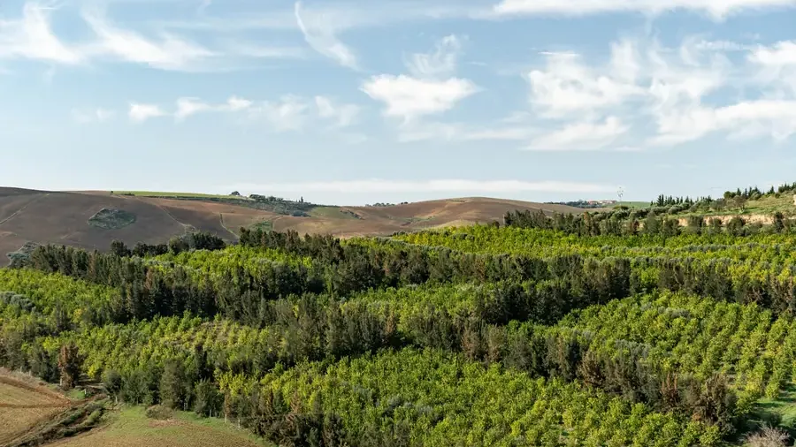 Résidence_dartistes_landscape_crédit_Med_Azzabi_20